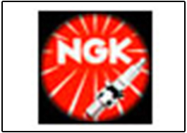 Ngk